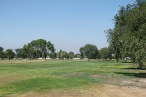 Silver Sage 17th